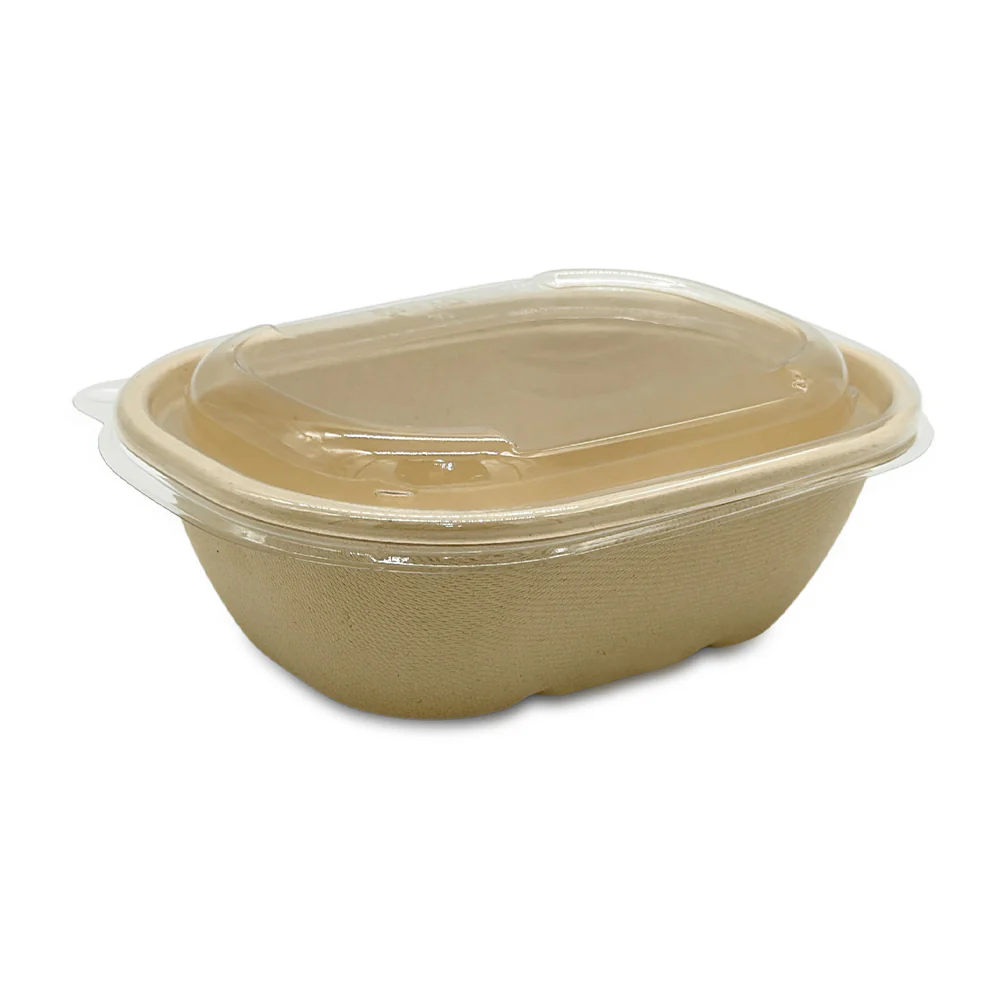 Bagasse Oval Containers with PET Lids Eco Friendly Takeaway Boxes - Image 6