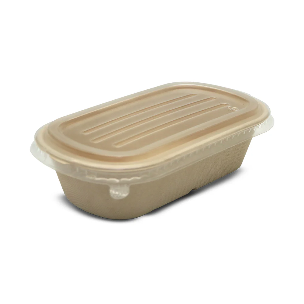 Bagasse Oval Food Containers UAE - With PP Lid - Image 6