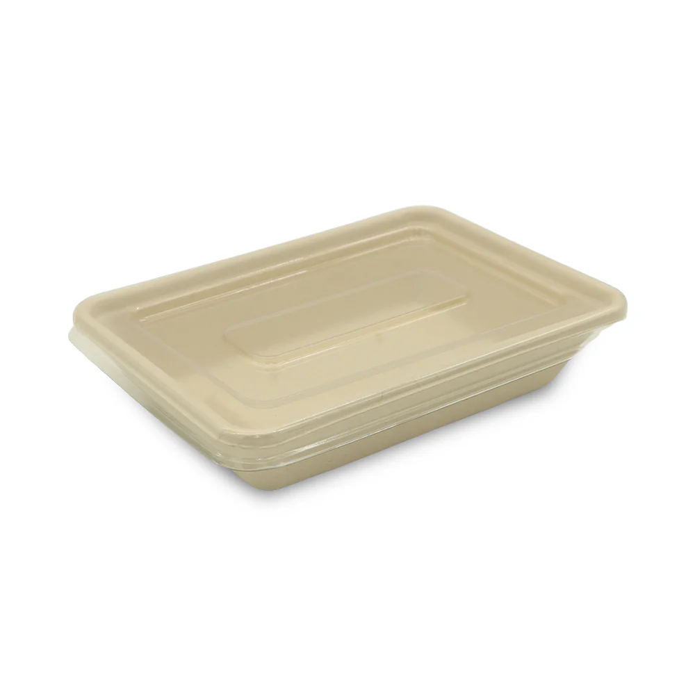 Bagasse Rectangular Food Containers UAE - With PET Lid