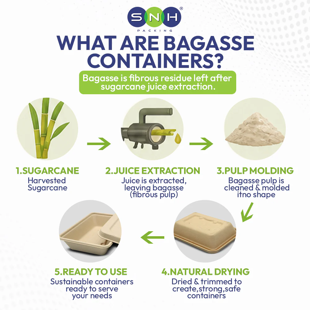 Bagasse Rectangular Food Containers - with Pet Lid - Image 4
