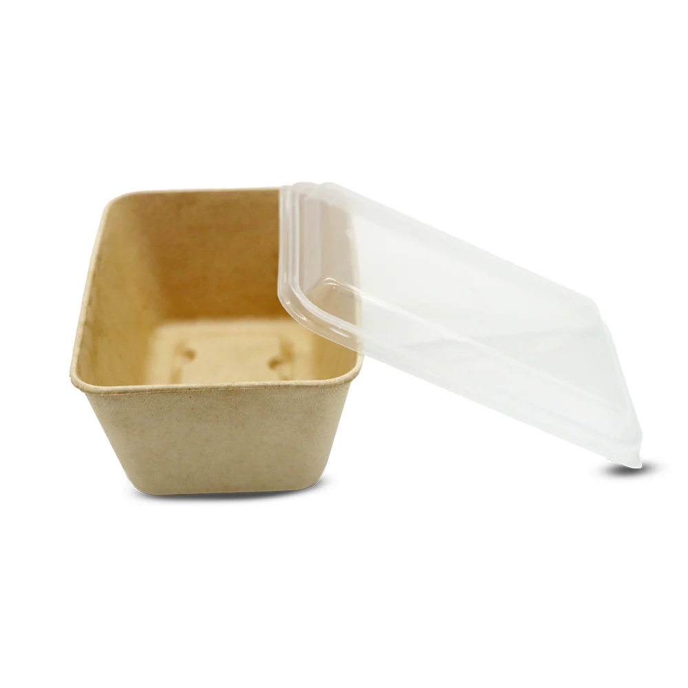Bagasse Rectangular Food Containers - with Pet Lid - Image 6