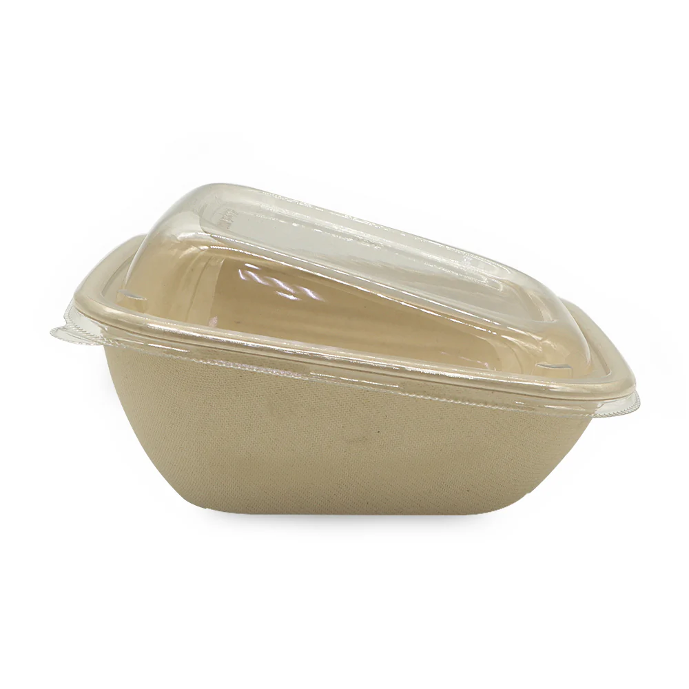 Bagasse Slope Bowls with PET Lids  Eco Friendly Takeaway Bowls - Image 6