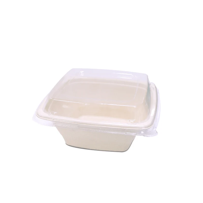 Bagasse Square Deep Containers with PET Lids - Image 3