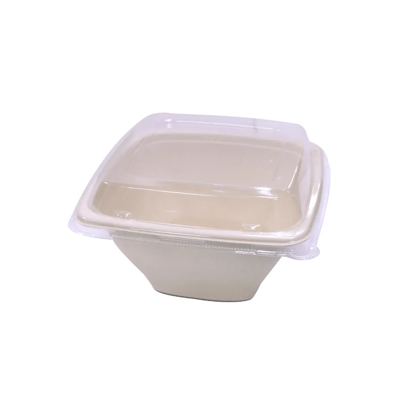 Bagasse Square Deep Containers with PET Lids - Image 4