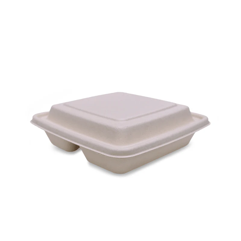 Bagasse Square Food Containers with Lids  Eco Friendly Packaging - Image 15