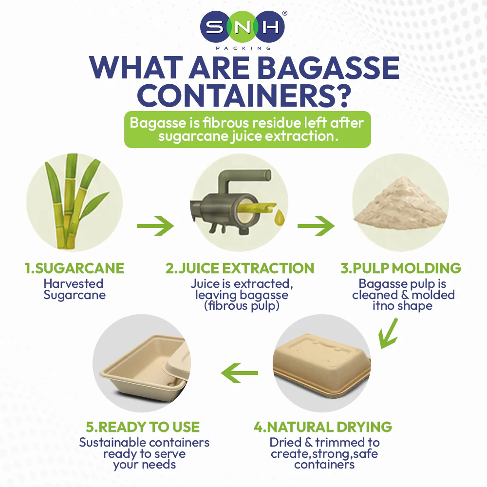 Bagasse Tacos Tray with PET Lid | Eco Friendly Food Packaging - Image 4