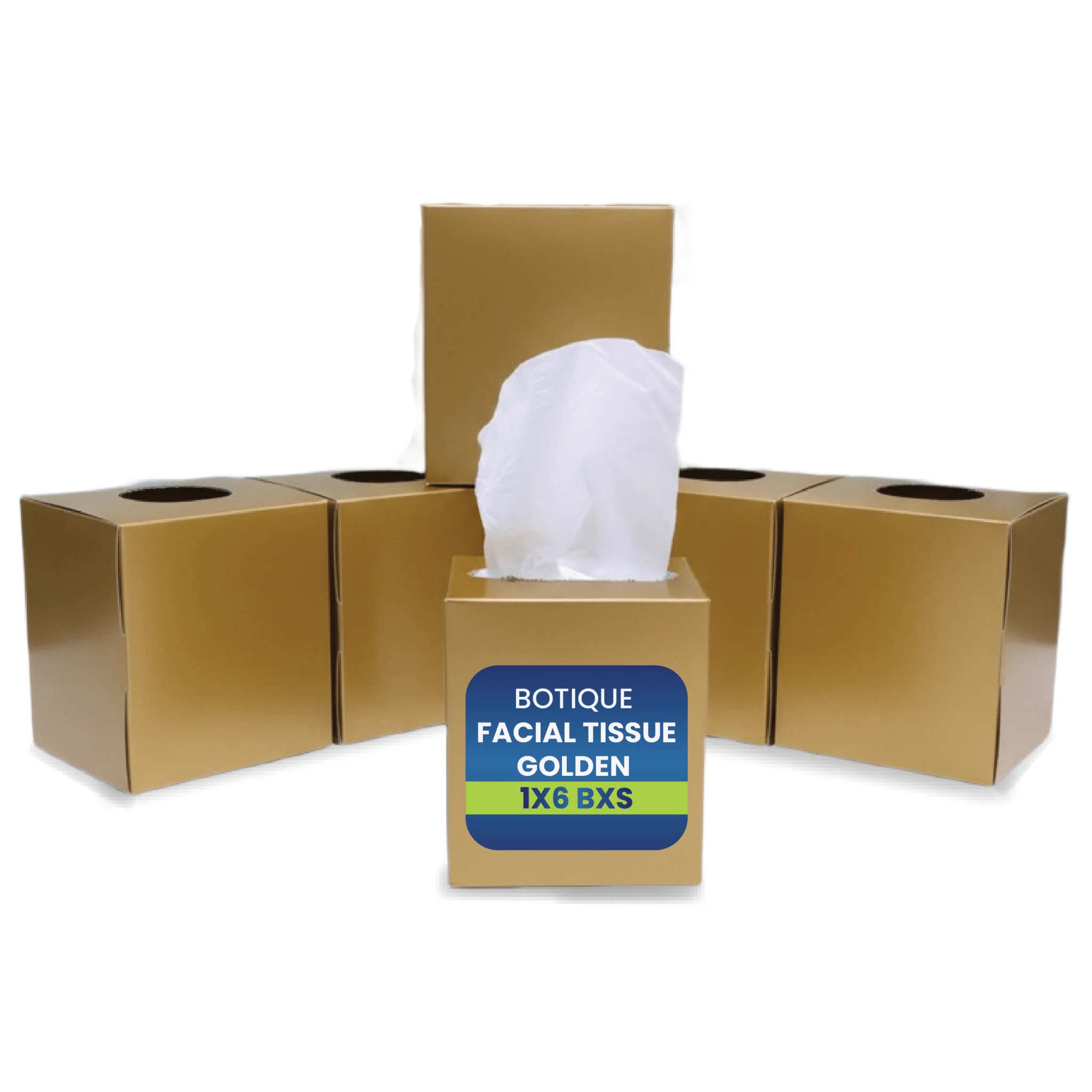 Boutique Facial Tissue  2Ply Soft | 6 BXS PKT - Image 3