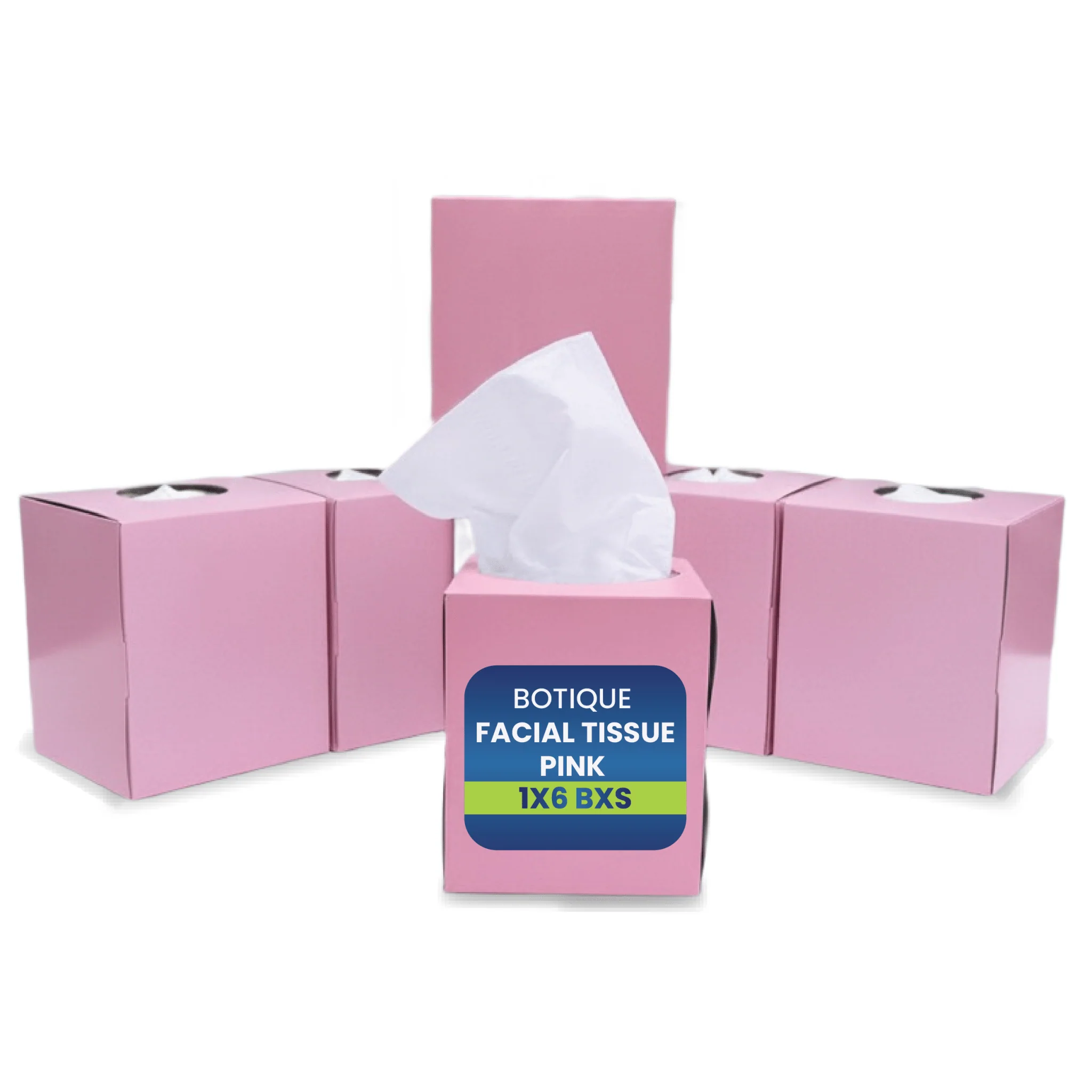 Boutique Facial Tissue  2Ply Soft | 6 BXS PKT - Image 4