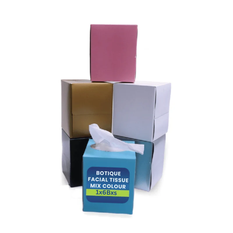 Boutique Facial Tissue  2Ply Soft | 6 BXS PKT - Image 5