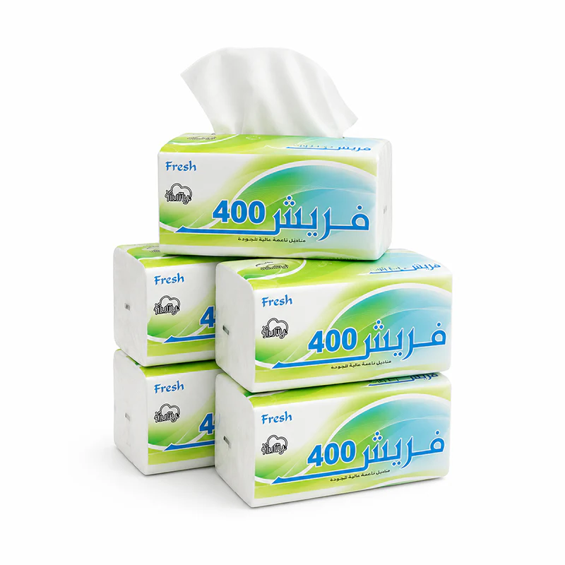Fresh Nylon Tissue 200x2PLY (Total 400 Sheets)  5BXS PKT