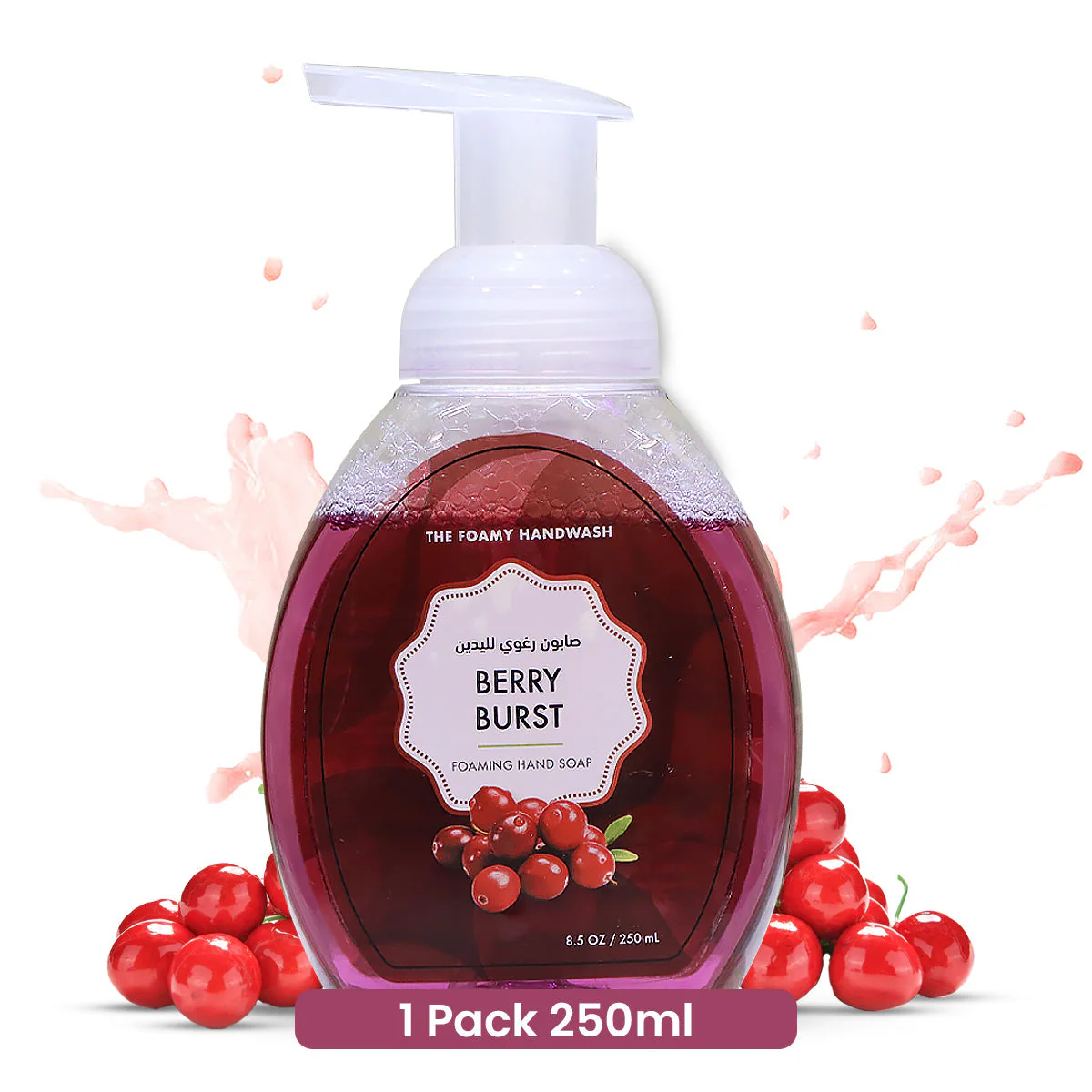 Hand Wash Liquid with Foaming Pump - Image 9