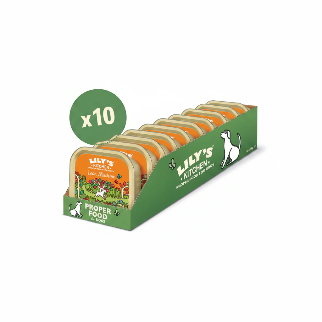 Lily's Kitchen Lean Machine Wet Dog Food - 10X150G