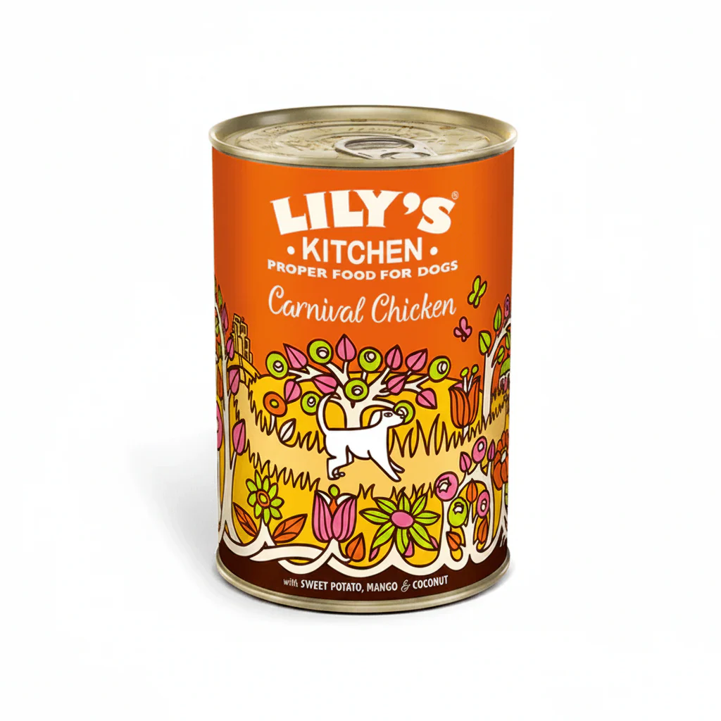 Lily's Kitchen Dog Carnival Chicken Wet Food (400g)