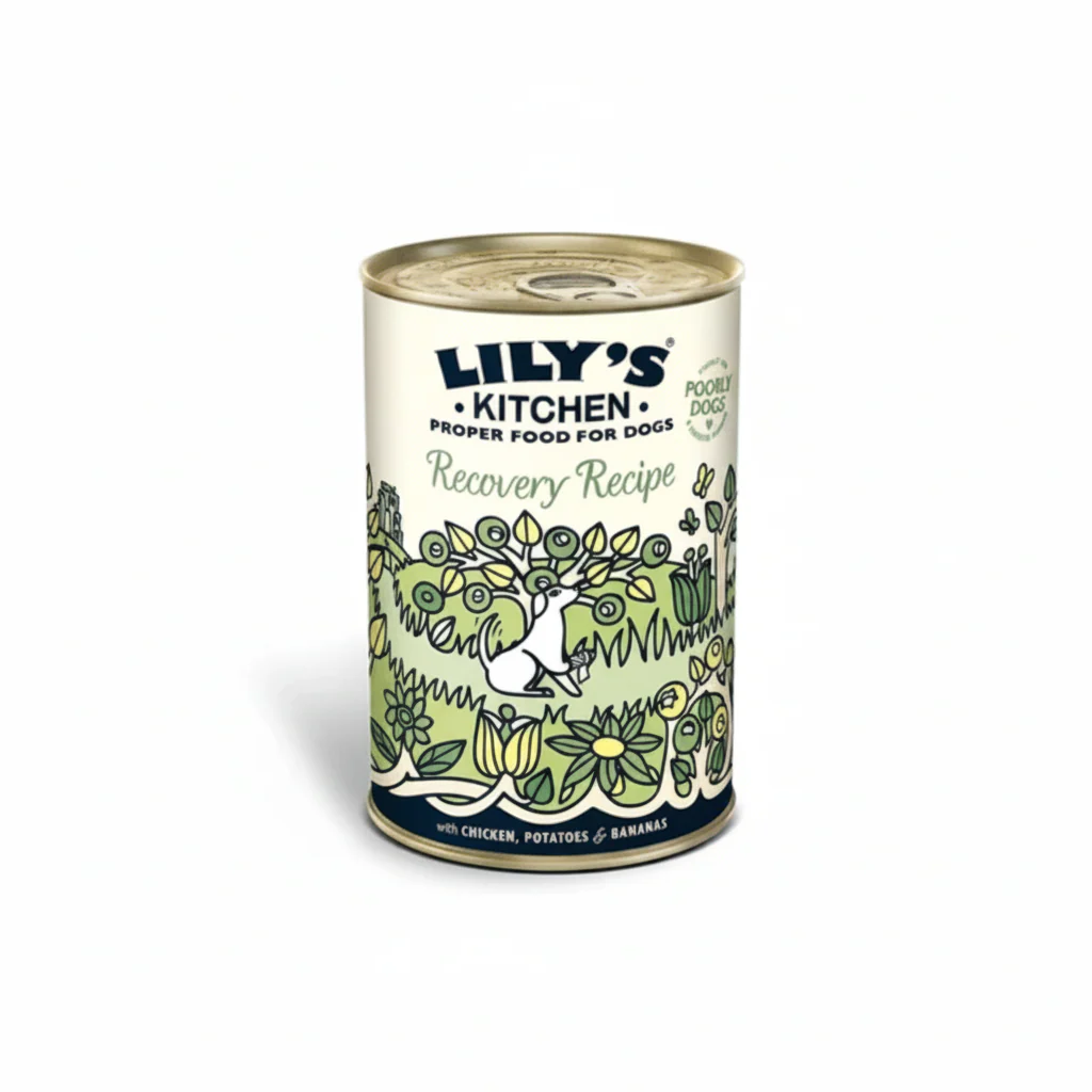 Lily's Kitchen Recovery Recipe Wet Dog Food (400g)