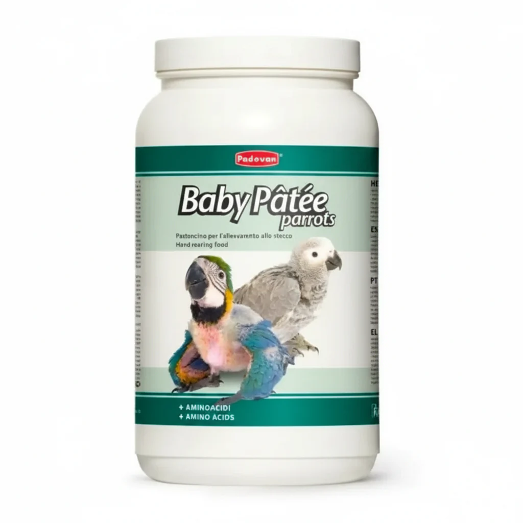Padovan Baby Patee Parrots[Weight - 900g]