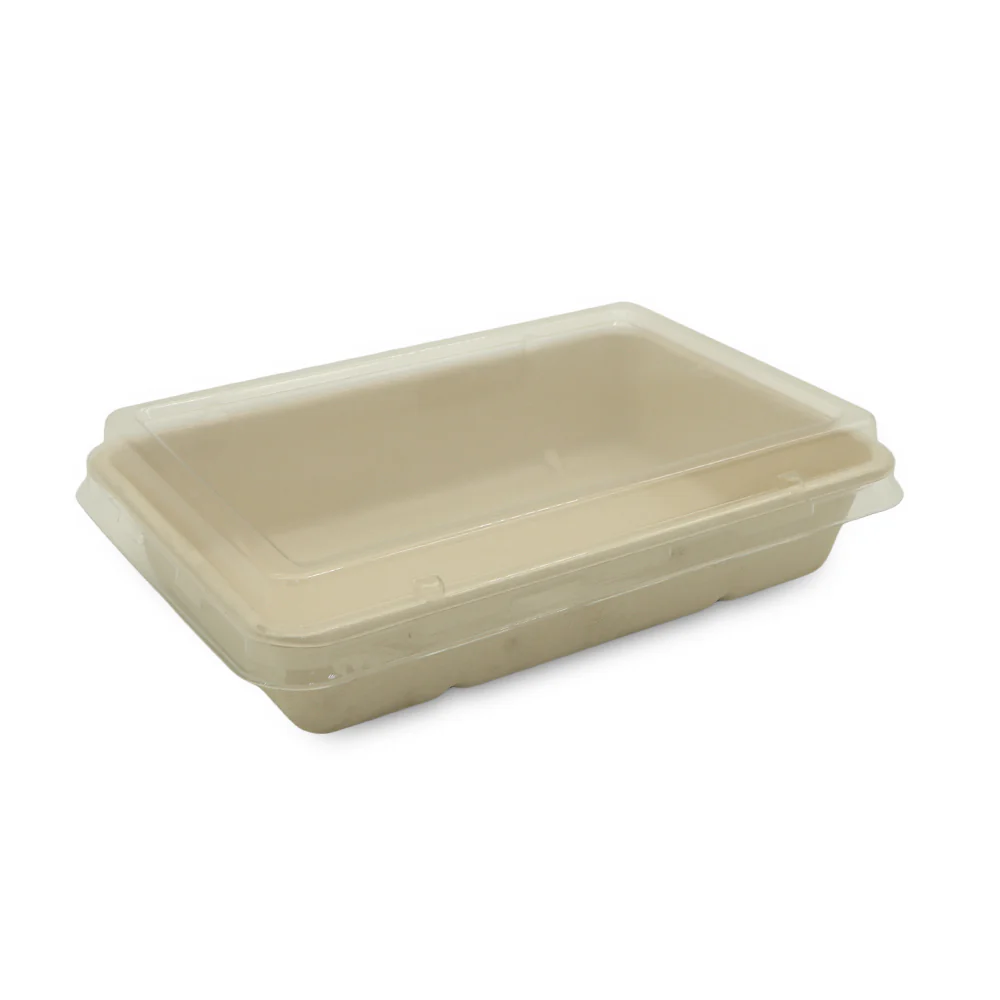 Rectangular Bagasse Tray UAE - with PET Lid